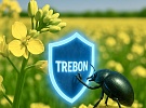 ТРЕБОН